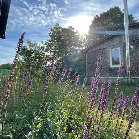 Haus Am Grimnitzsee Mit Sauna Joachimsthal Extérieur photo