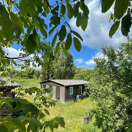 Haus Am Grimnitzsee Mit Sauna Joachimsthal Extérieur photo