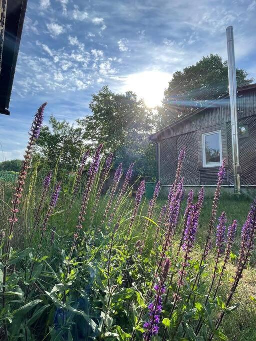Haus Am Grimnitzsee Mit Sauna Appartement *