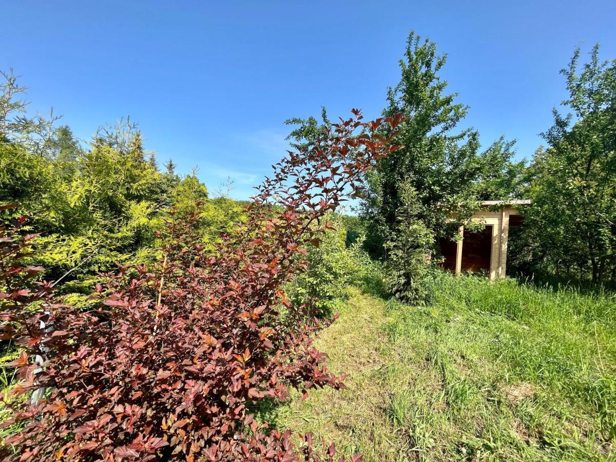Haus Am Grimnitzsee Mit Sauna Joachimsthal