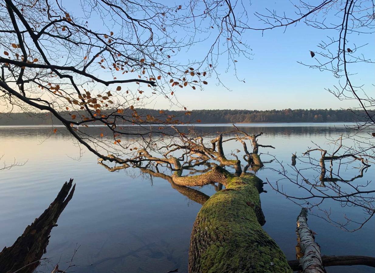 Haus Am Grimnitzsee Mit Sauna *