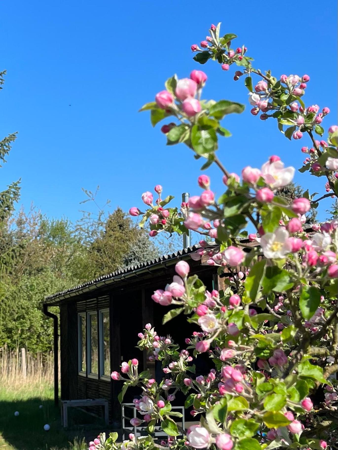 Appartement Haus Am Grimnitzsee Mit Sauna